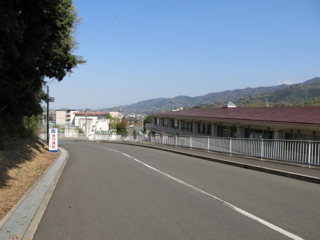 t08_096.jpg