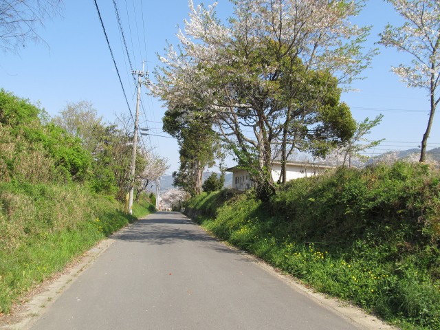 t08_101.jpg
