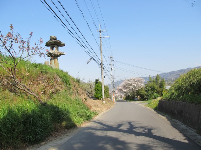 t08_102.jpg