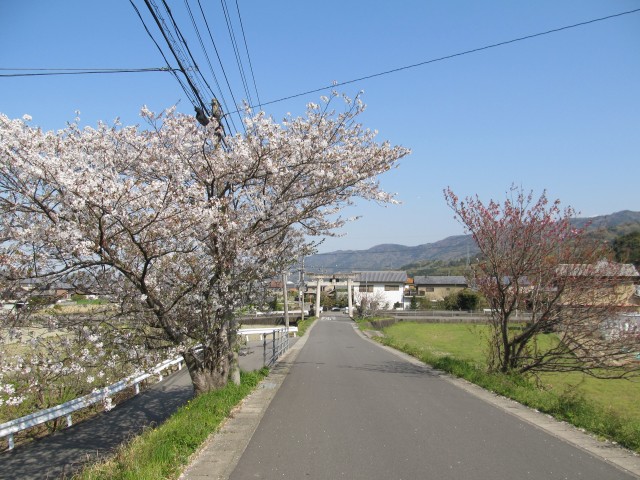 t08_104.jpg