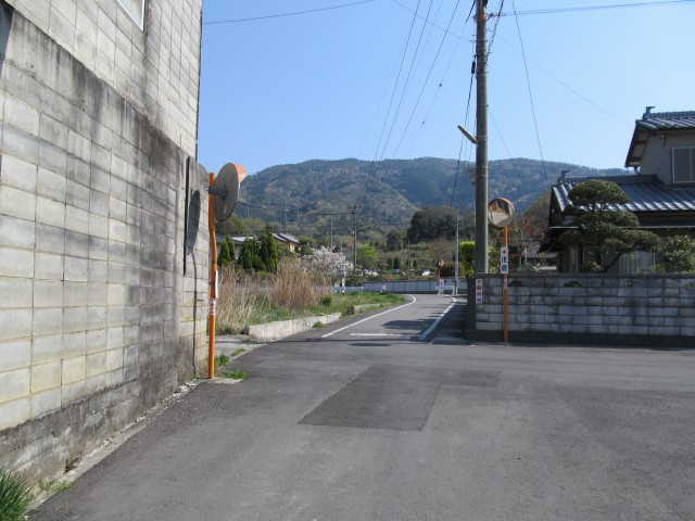 t08_110.jpg