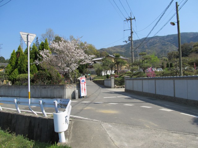 t08_111.jpg