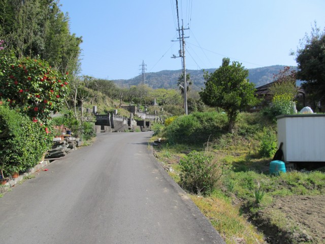 t08_113.jpg