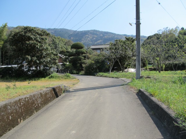 t08_114.jpg