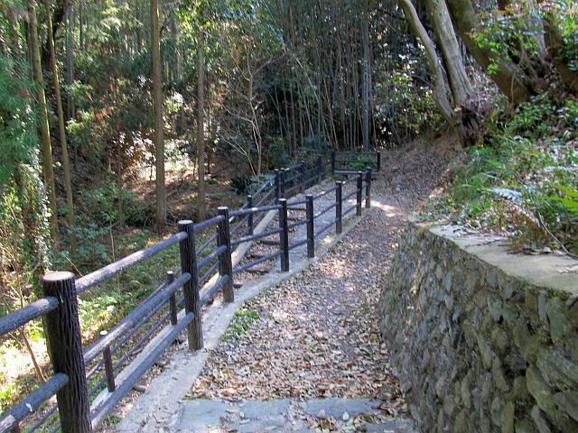 t08_117.jpg