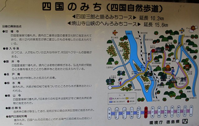 t08_123.jpg