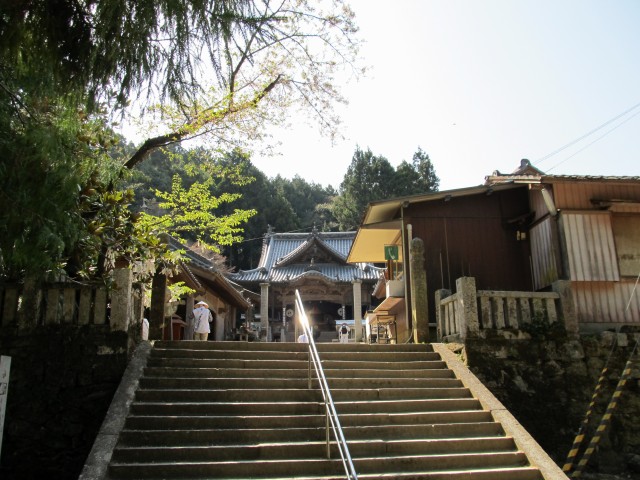 t08_125.jpg