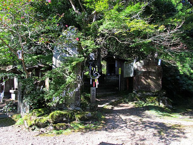 t09_005.jpg