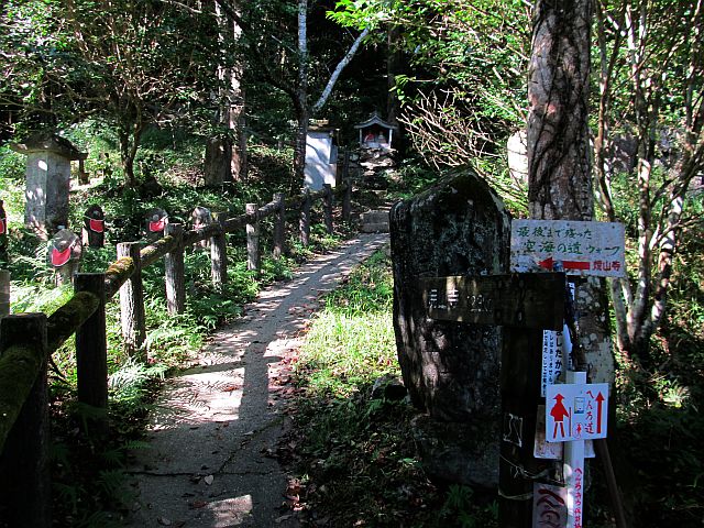 t09_006.jpg
