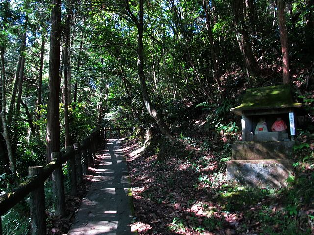 t09_007.jpg