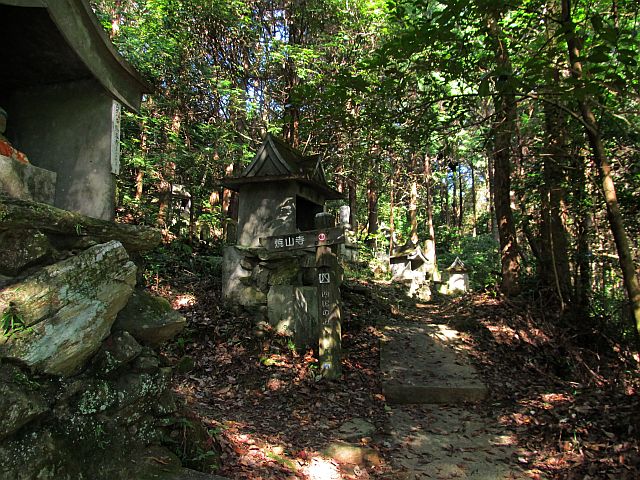 t09_008.jpg