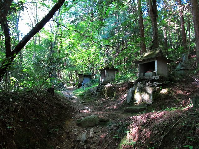 t09_009.jpg