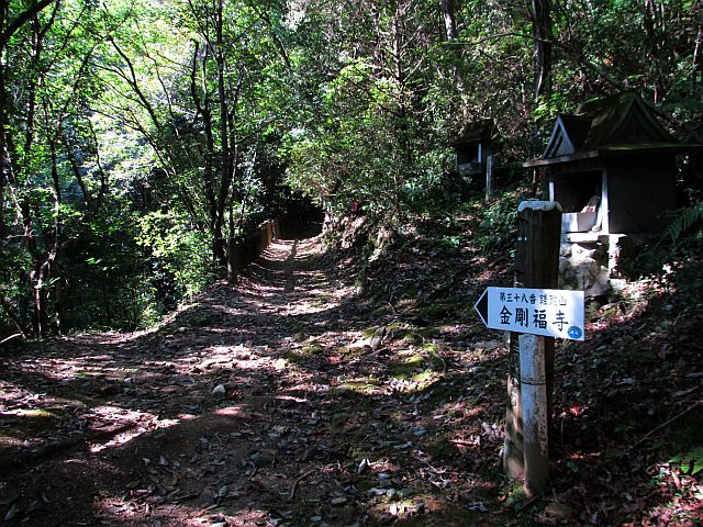 t09_011.jpg