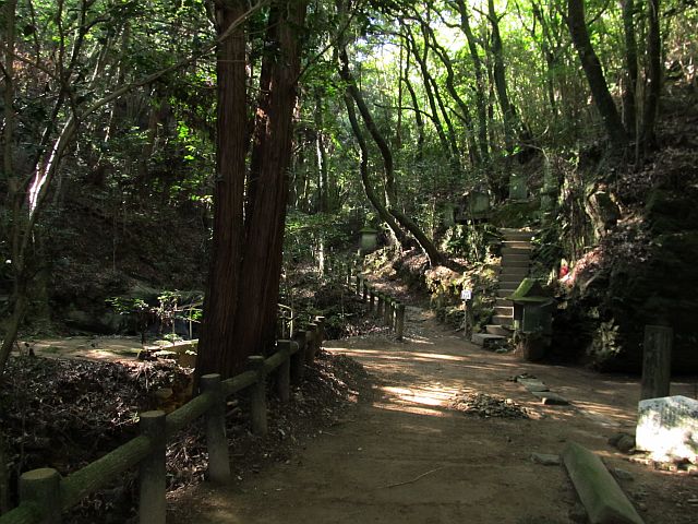 t09_012.jpg
