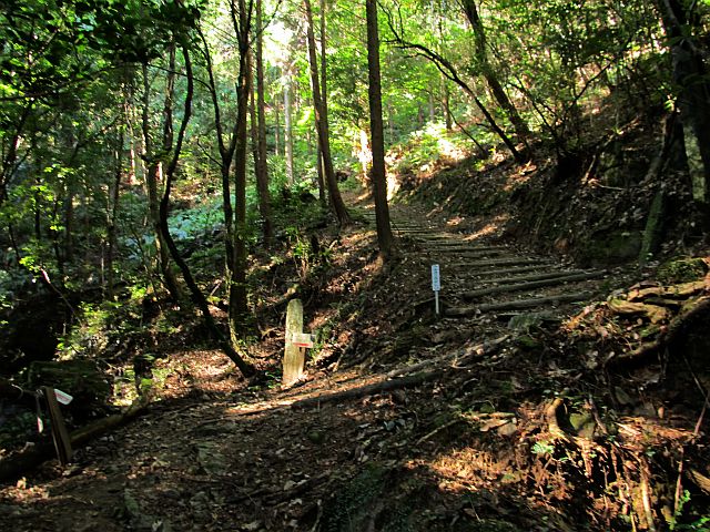 t09_013.jpg