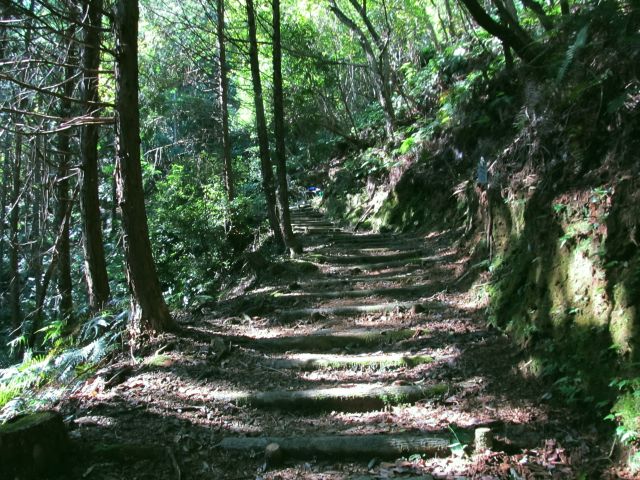 t09_014.jpg