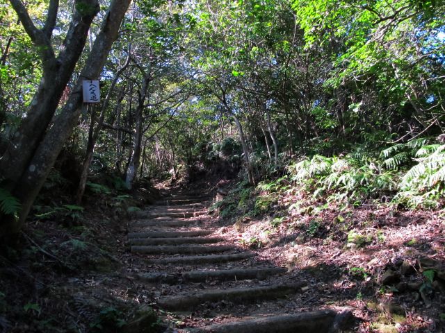 t09_016.jpg