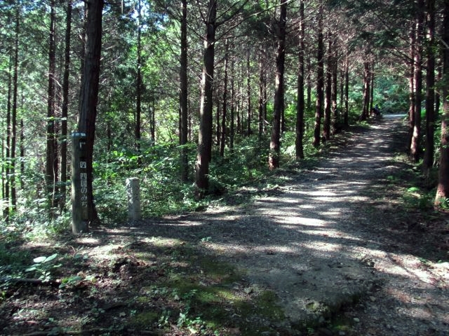t09_017.jpg