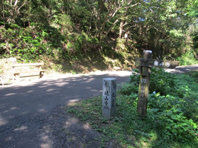 t09_018.jpg