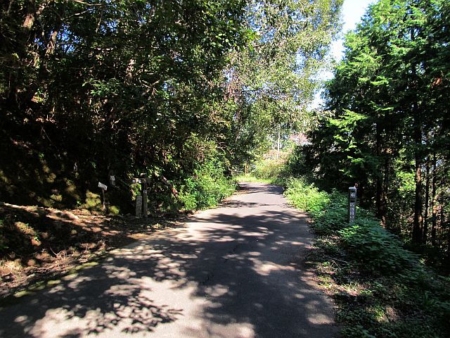 t09_019.jpg