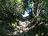 t09_020_thumb.jpg