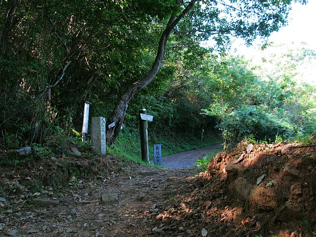 t09_022.jpg