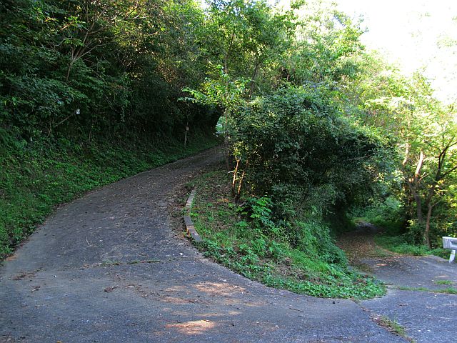 t09_023.jpg