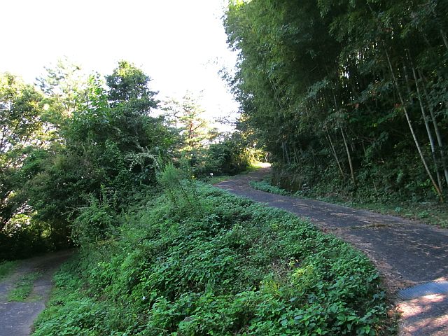 t09_024.jpg