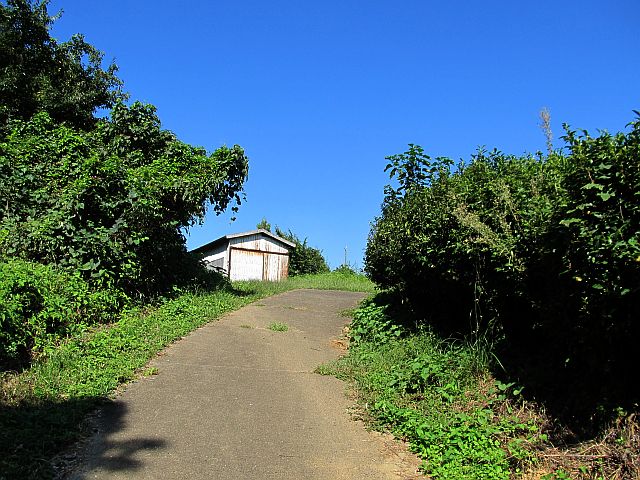 t09_025.jpg