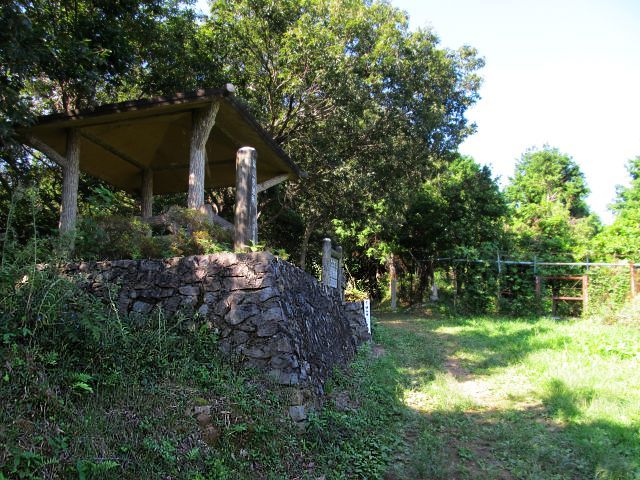 t09_027.jpg