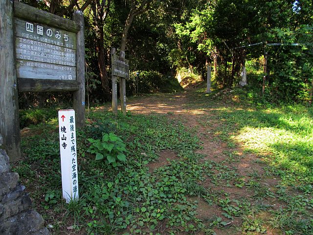 t09_028.jpg
