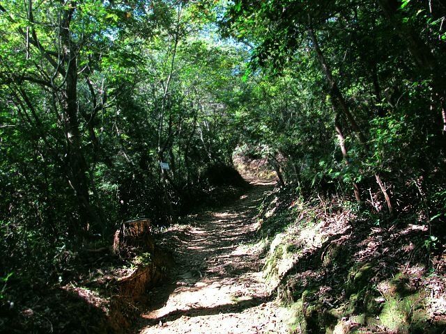 t09_029.jpg