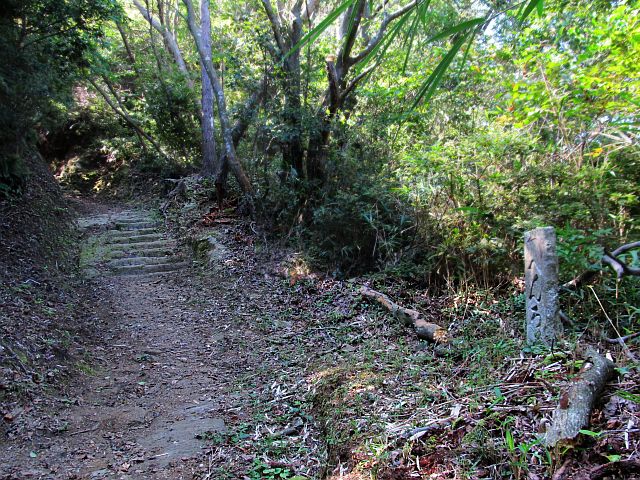 t09_031.jpg
