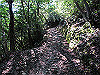 t09_032_thumb.jpg