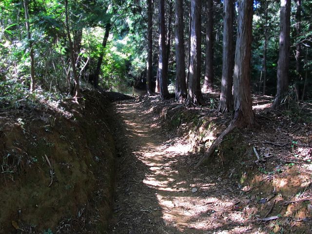 t09_033.jpg