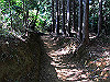 t09_033_thumb.jpg
