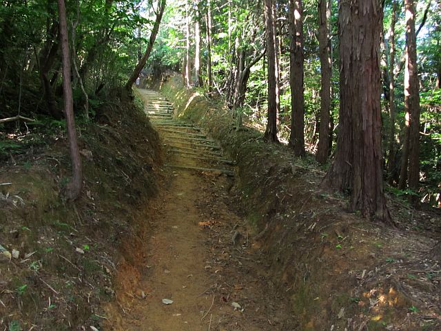 t09_034.jpg