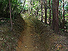 t09_034_thumb.jpg