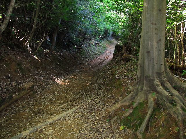 t09_035.jpg