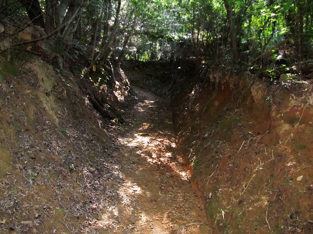 t09_036.jpg