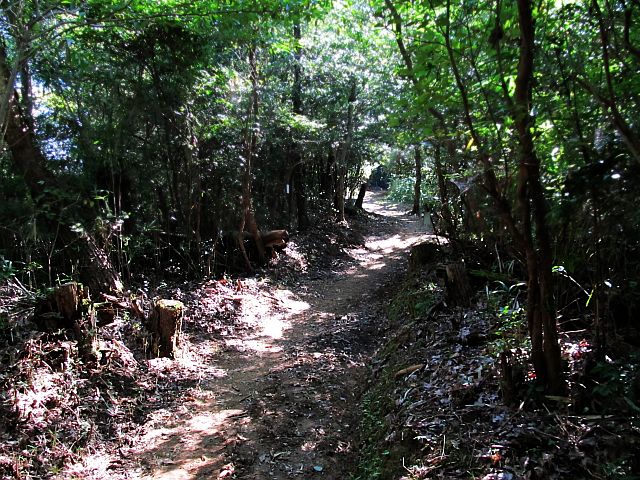 t09_037.jpg