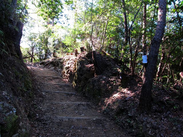 t09_038.jpg
