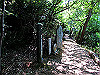t09_040_thumb.jpg