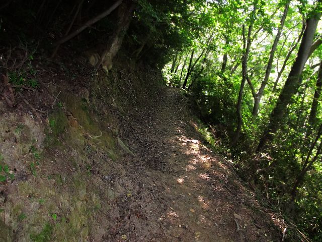 t09_041.jpg