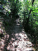 t09_042_thumb.jpg