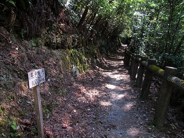 t09_044.jpg