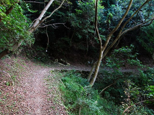t09_045.jpg