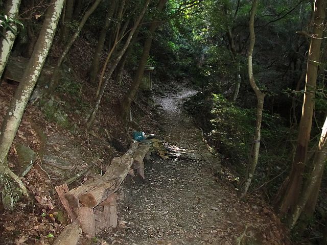 t09_046.jpg