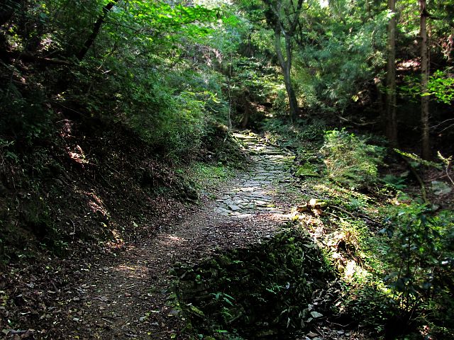 t09_047.jpg
