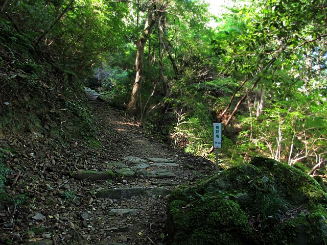 t09_048.jpg